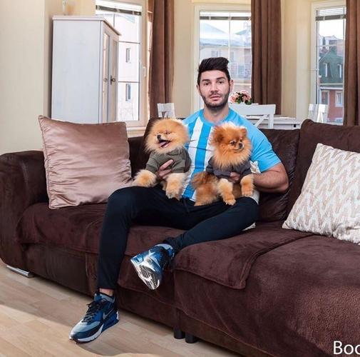 Pomeranac Boo medvedic