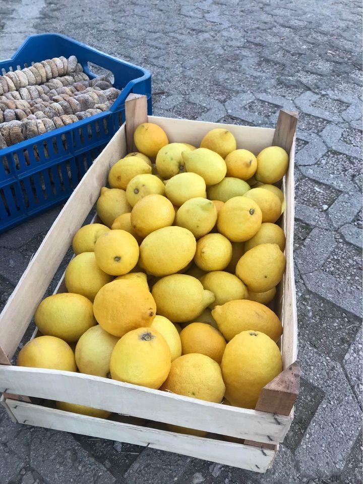---Domaci-proizvodi---