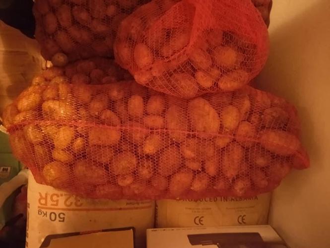 Krompir planinski sa vukotice