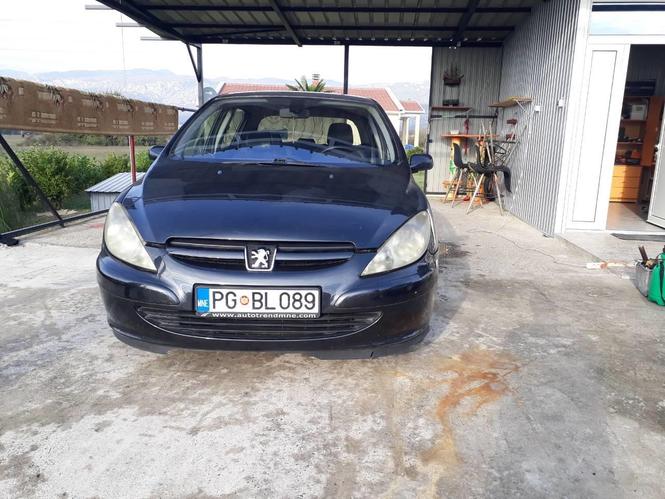 Peugeot GTI 307