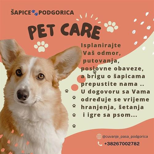 Cuvanje pasa