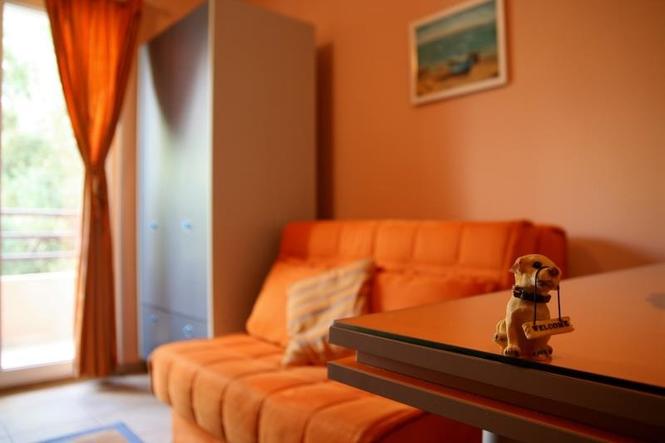 BUDVA NATASHA DELUX STUDIO