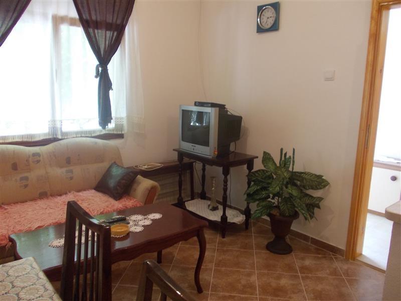 Iznajmljuje-se-stan-od-40m2-u-ZELENICI