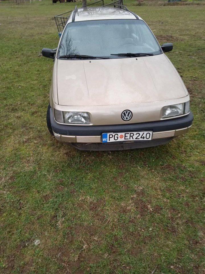 Auto-Pasat-2