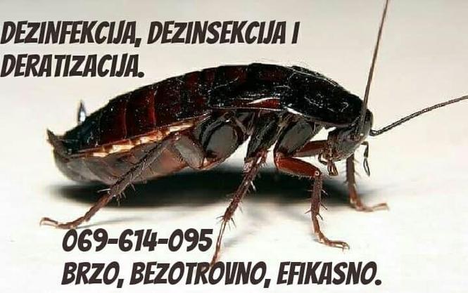 DEZINSEKCIJA DERATIZACIJA