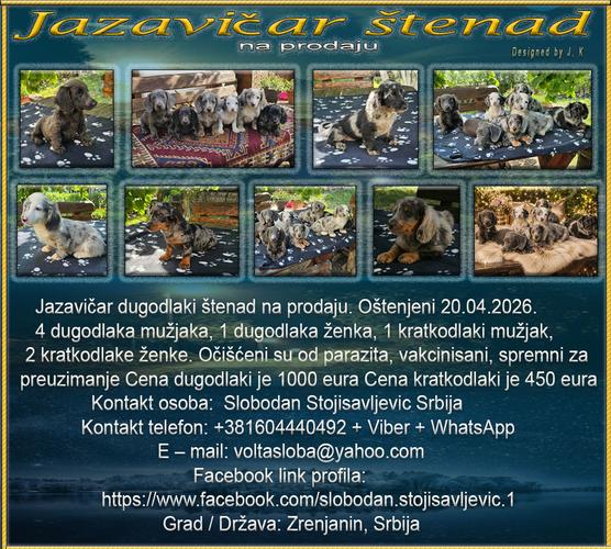 Jazavičar