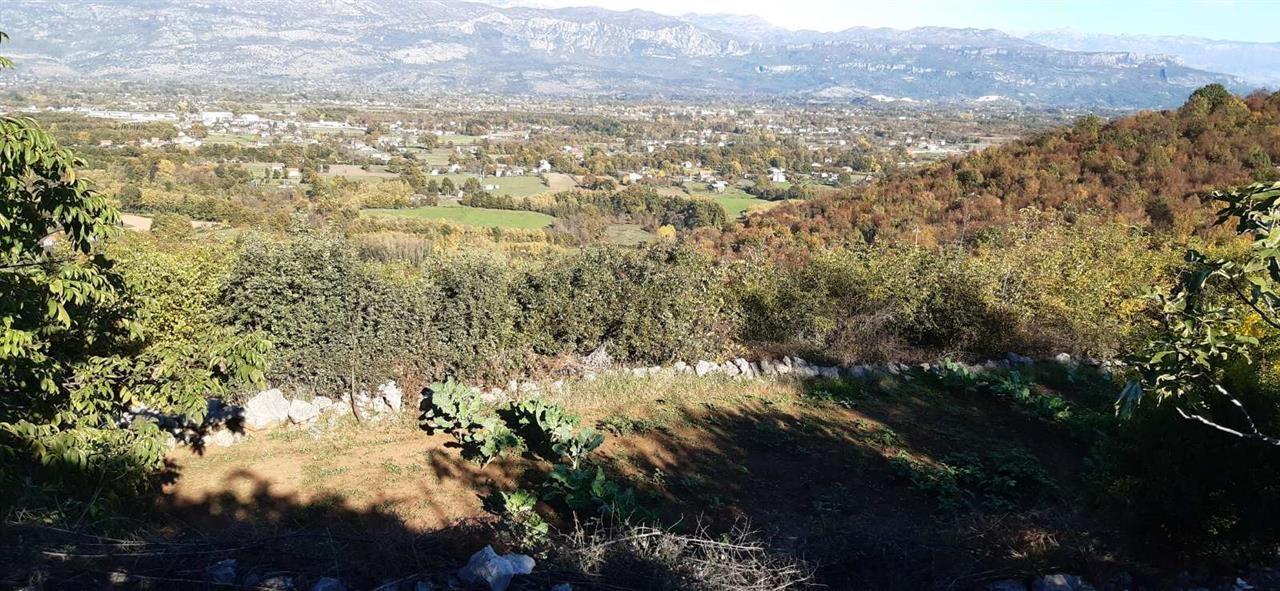 Prodajem-imanje-u-Gropi--Danilovgrad