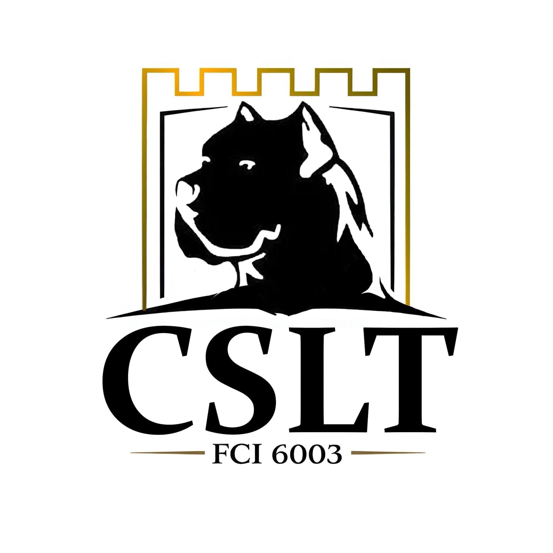 Cane-Corso-štenci