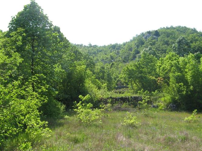 plac na prodaju 16000m2