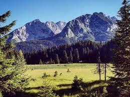 Prodajemo zemlju Zabljak/Bosače