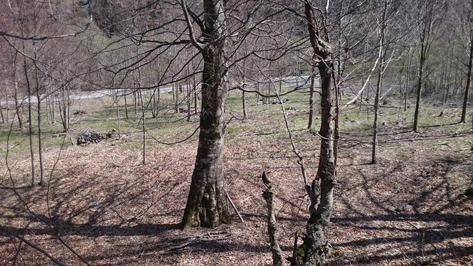 NA PRODAJU PLAC 1660m2 JABUKA- KOLAŠIN