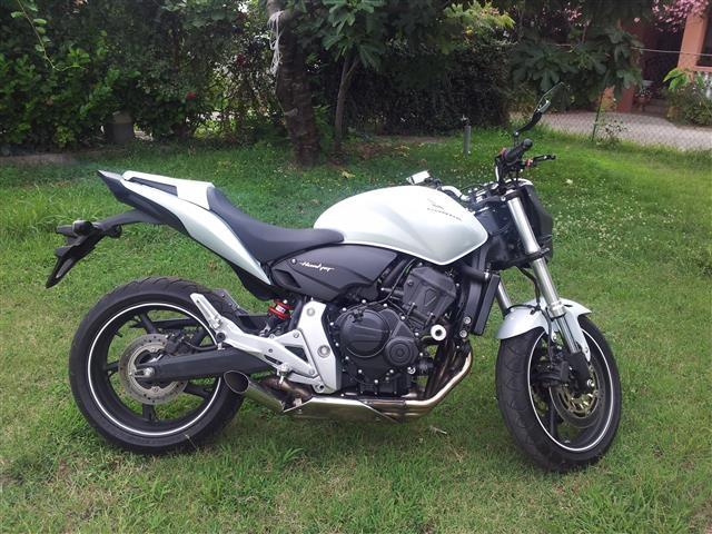 HORNET CB600