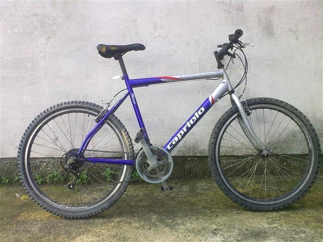 Capriolo metropolis 18
