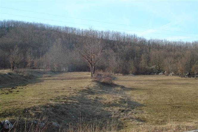 IMANJE U CETINJE