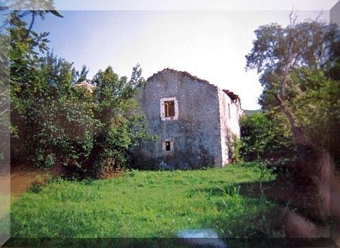Imanje