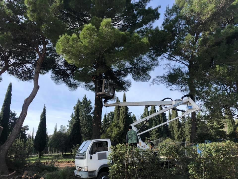 DIZALICA-SA-KORPOM