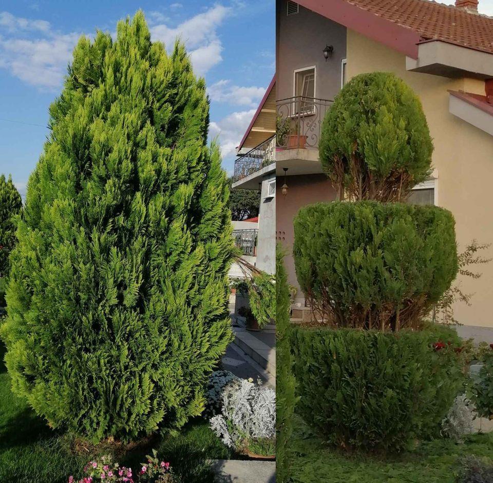 BastovanPG-Nero-069822338