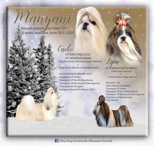 Ši –cu (SHIH TZU), muški stenci