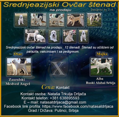 Srednjeazijski Ovčar