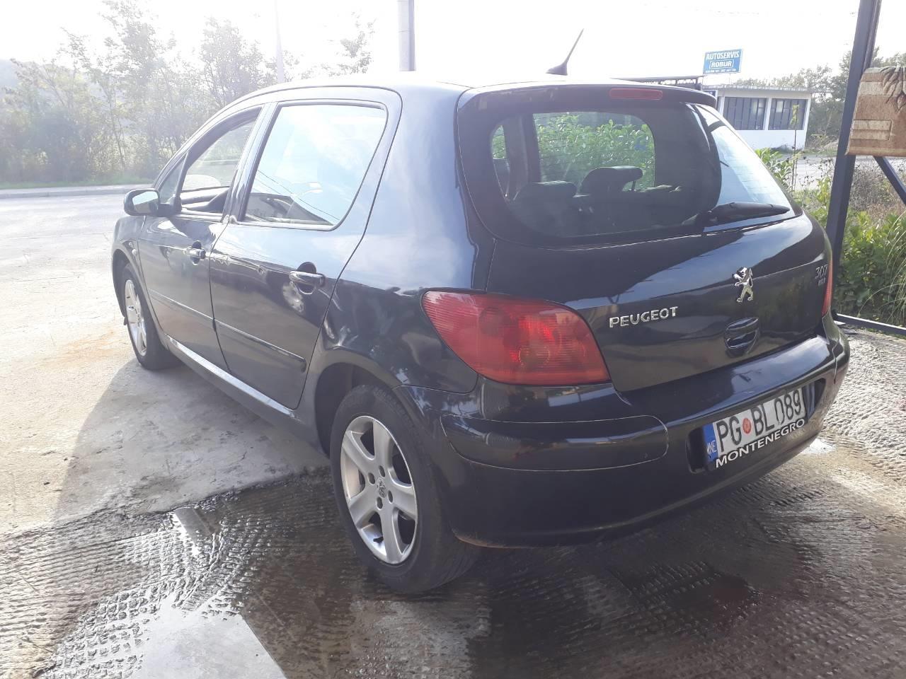 Peugeot-GTI-307