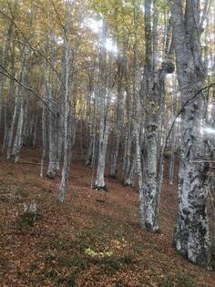 Prodaja zemlje sa sumom