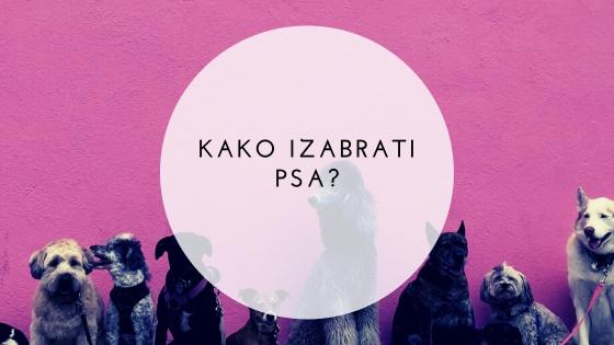 Kako izabrati psa?