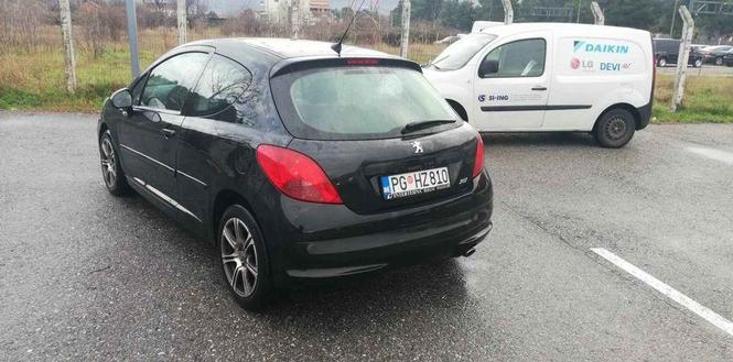 Pezo 207