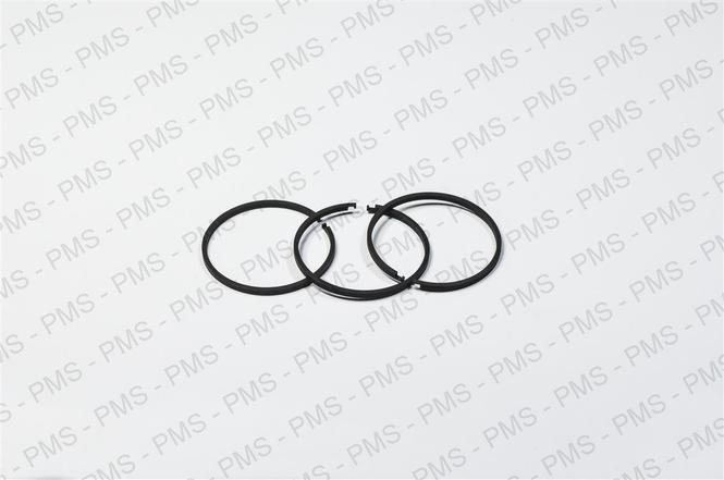 DANA Snap Ring / Cirplip Types, Oem Parts