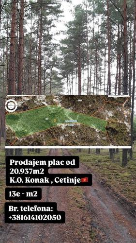 PRODAJA ŠUME