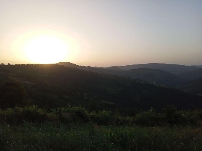 Land