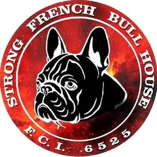Francuski Buldog