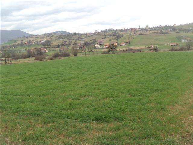 Povoljan plac od 7000m2, Petnjik