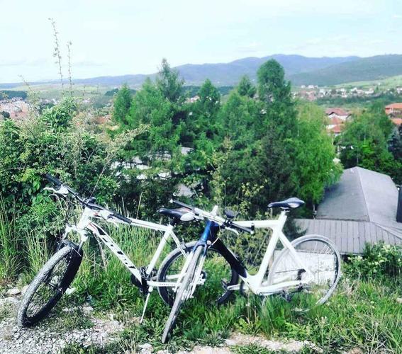 Biciklo Polar mirage