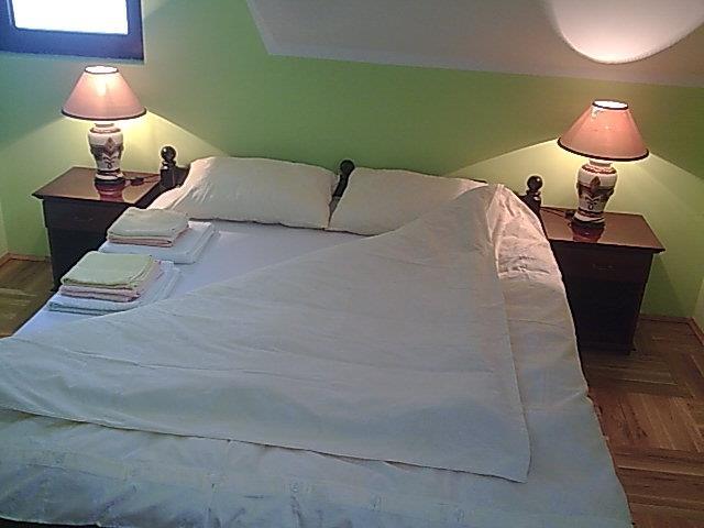 VILA-CIGOTA-ZLATIBOR