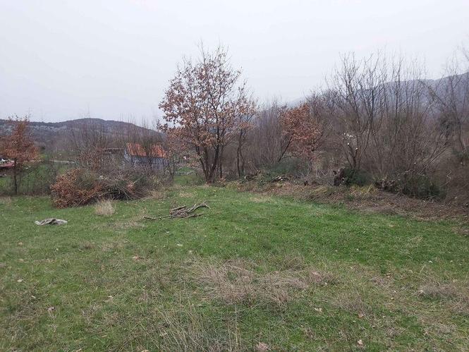Krcenje,kosenje
