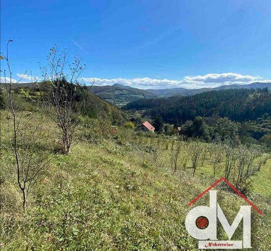 Plac 30 ari