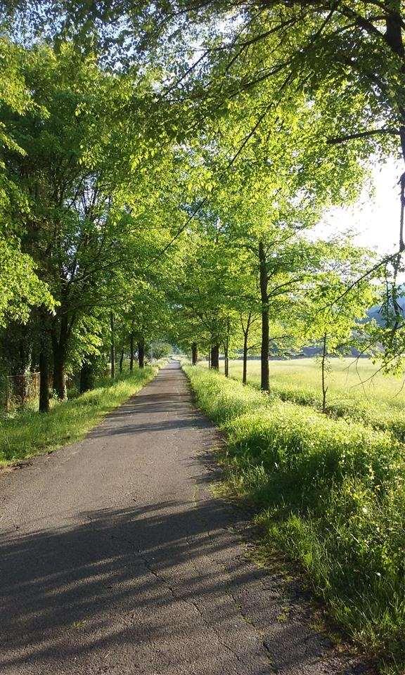 Plac-3100m2-Begovina-Danilovgrad