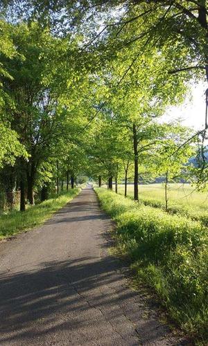 Plac 3100m2 Begovina Danilovgrad