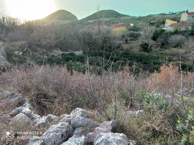 Prodajem Građevinsko Zemljište,Blizikuce-Budva