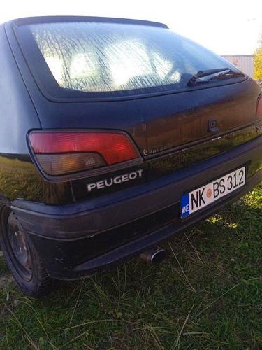 Pezo 306