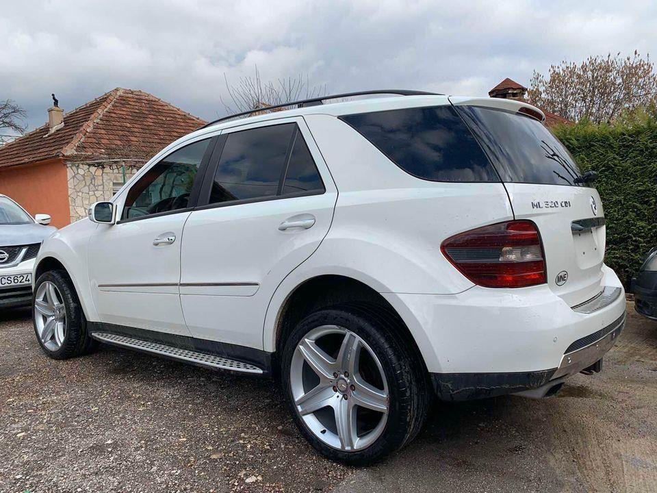 AMG-R21-295-35-R21-Miselin-Pilot-4s