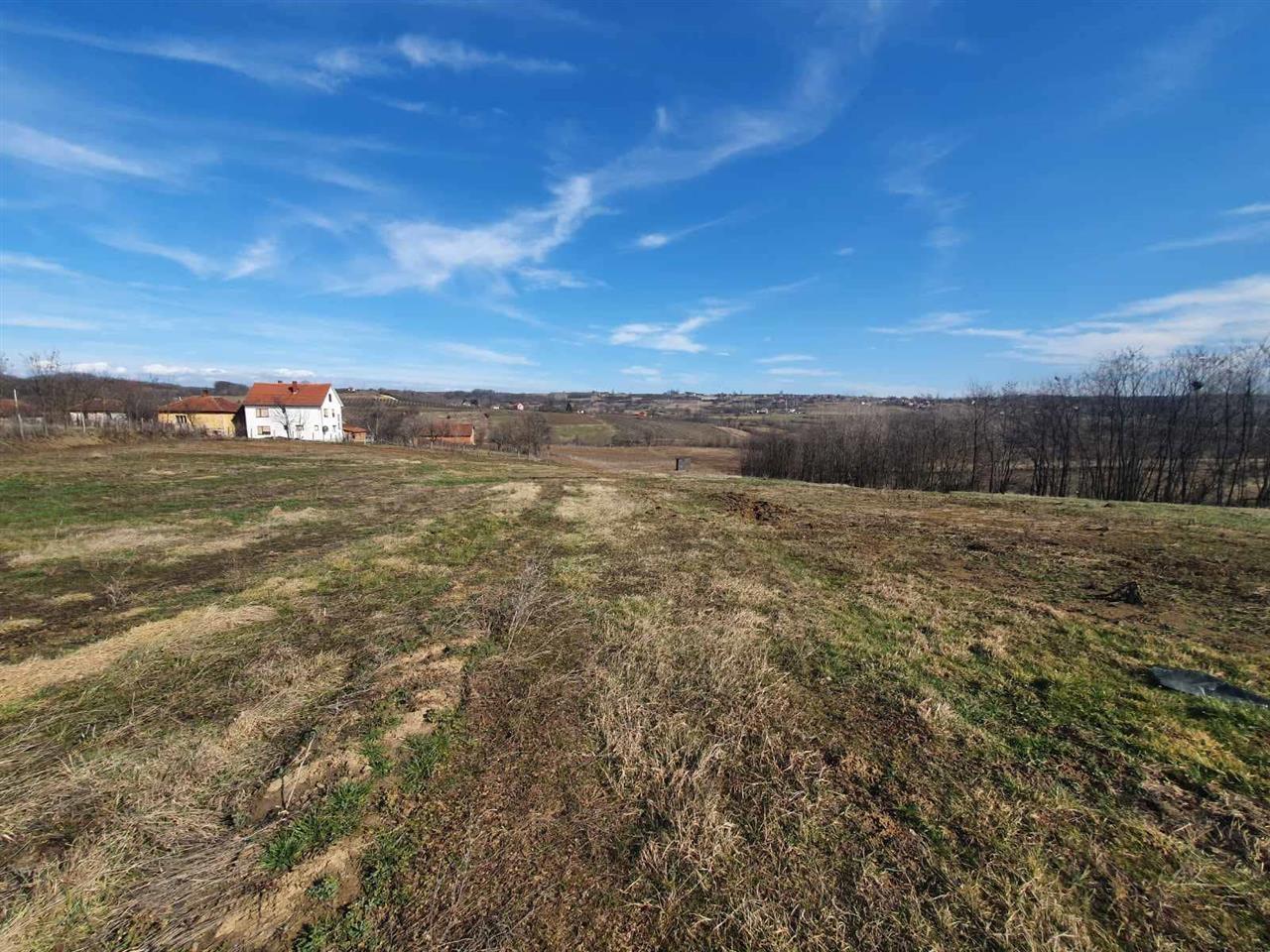 Srbija--Topola--Gornja-Šatornja--njiva