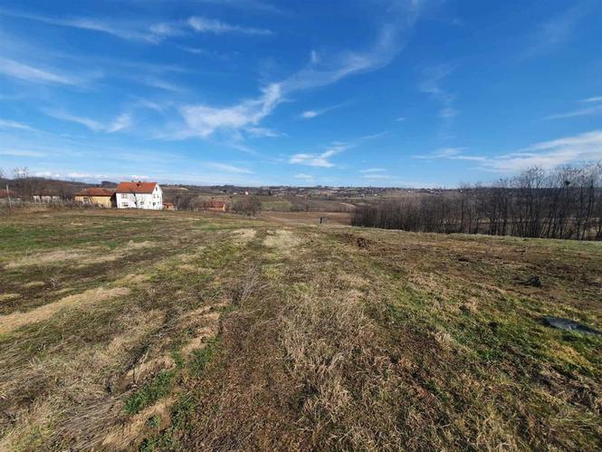 Srbija, Topola, Gornja Šatornja, njiva