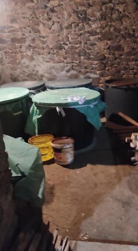 KRUŠKA JABUKA I ŠLJIVA