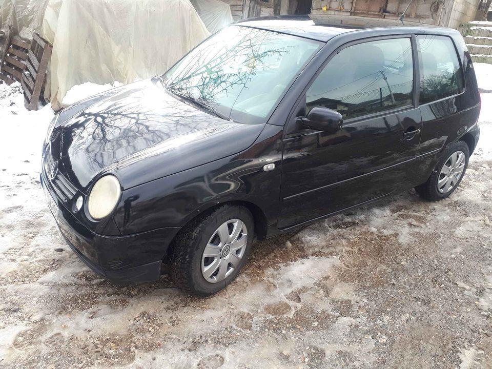 Lupo-14-tdi