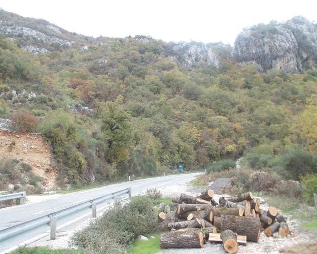Plac ukupne povrsine 12534m2 Lapčici