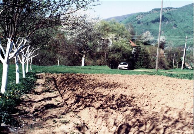 Plac 5000m2 na babljaki