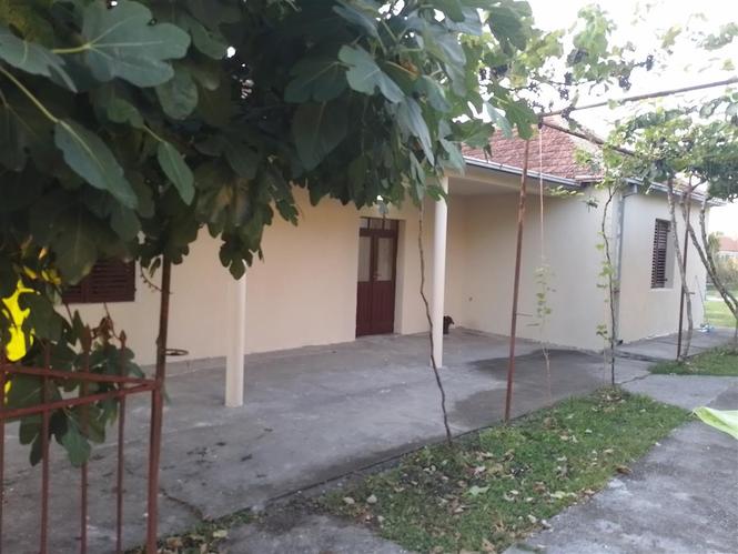 Prodajem kucu sa zemljom